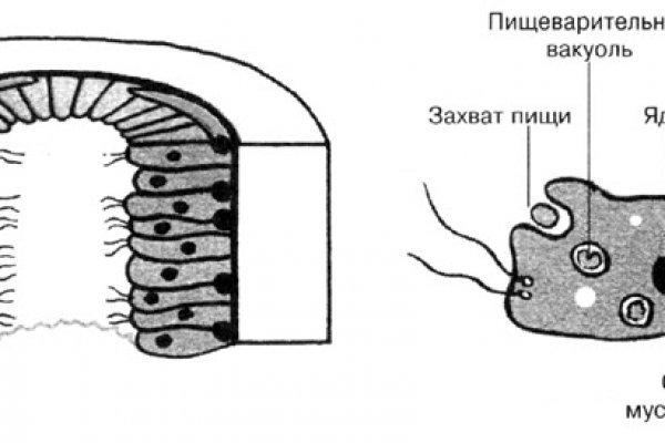 Kraken россия
