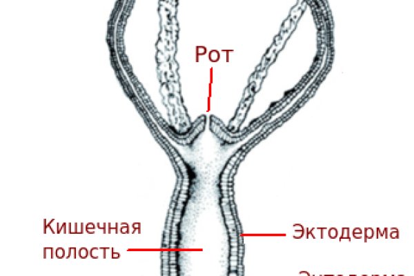 Кракен 17 рабочая ссылка